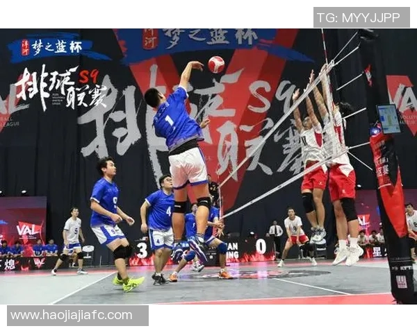 南京排球队灵活性创新高引领全国排球新风潮