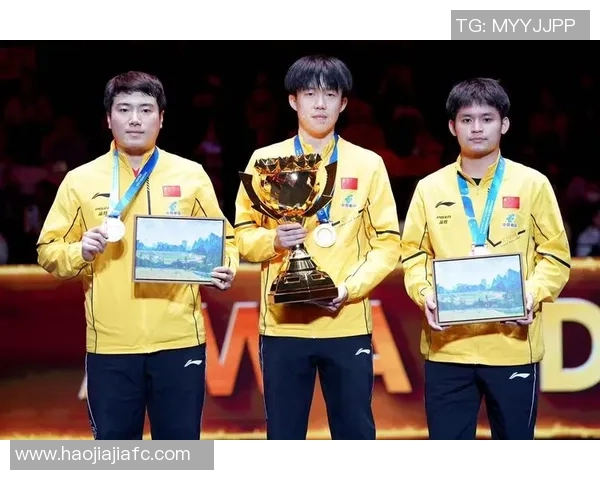 深圳乒乓球队在全国技术排行榜中荣获第九名的辉煌成就分析