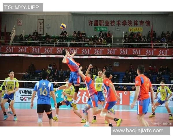 赵秀英独家分享排球技巧与心得体会助你提升竞技水平